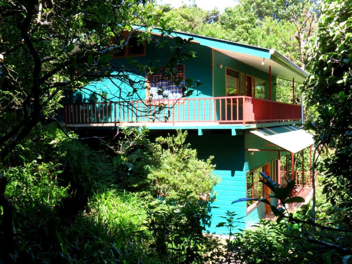 Hospedaje Mariposa Monteverde Extérieur photo