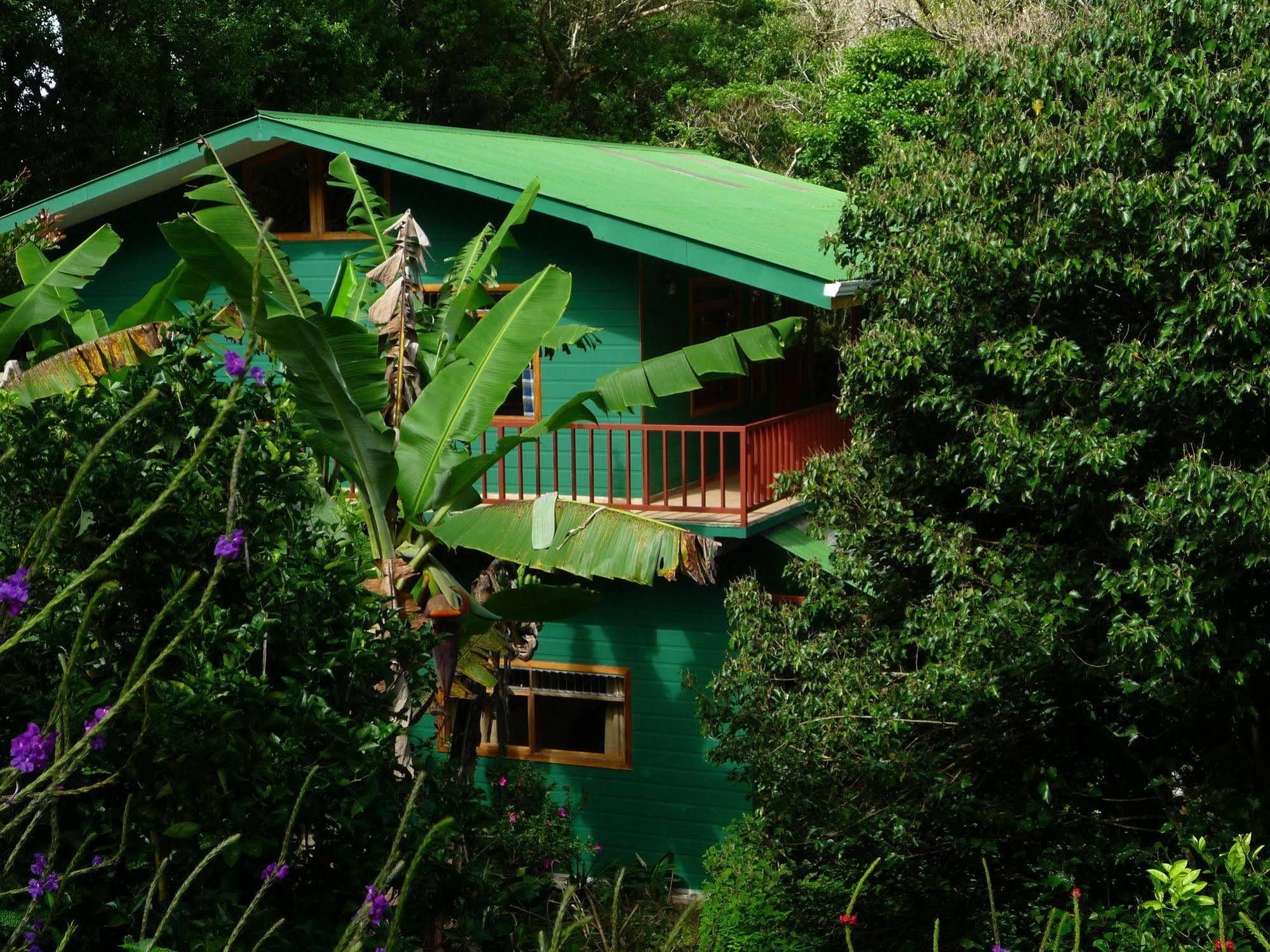 Hospedaje Mariposa Monteverde Extérieur photo